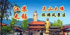 小骚逼啊啊网站免费观看江苏无锡灵山大佛旅游风景区